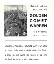 ilpoggio